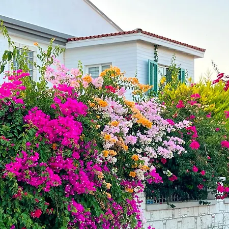 Ξενοδοχείο Alacati Xl Luxury Çeşme