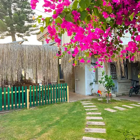 Alacati Xl Luxury Hotel Çeşme